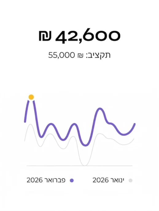 המחשת דוח תקציב: 42,600 ש״ח מתוך תקציב של 55,000